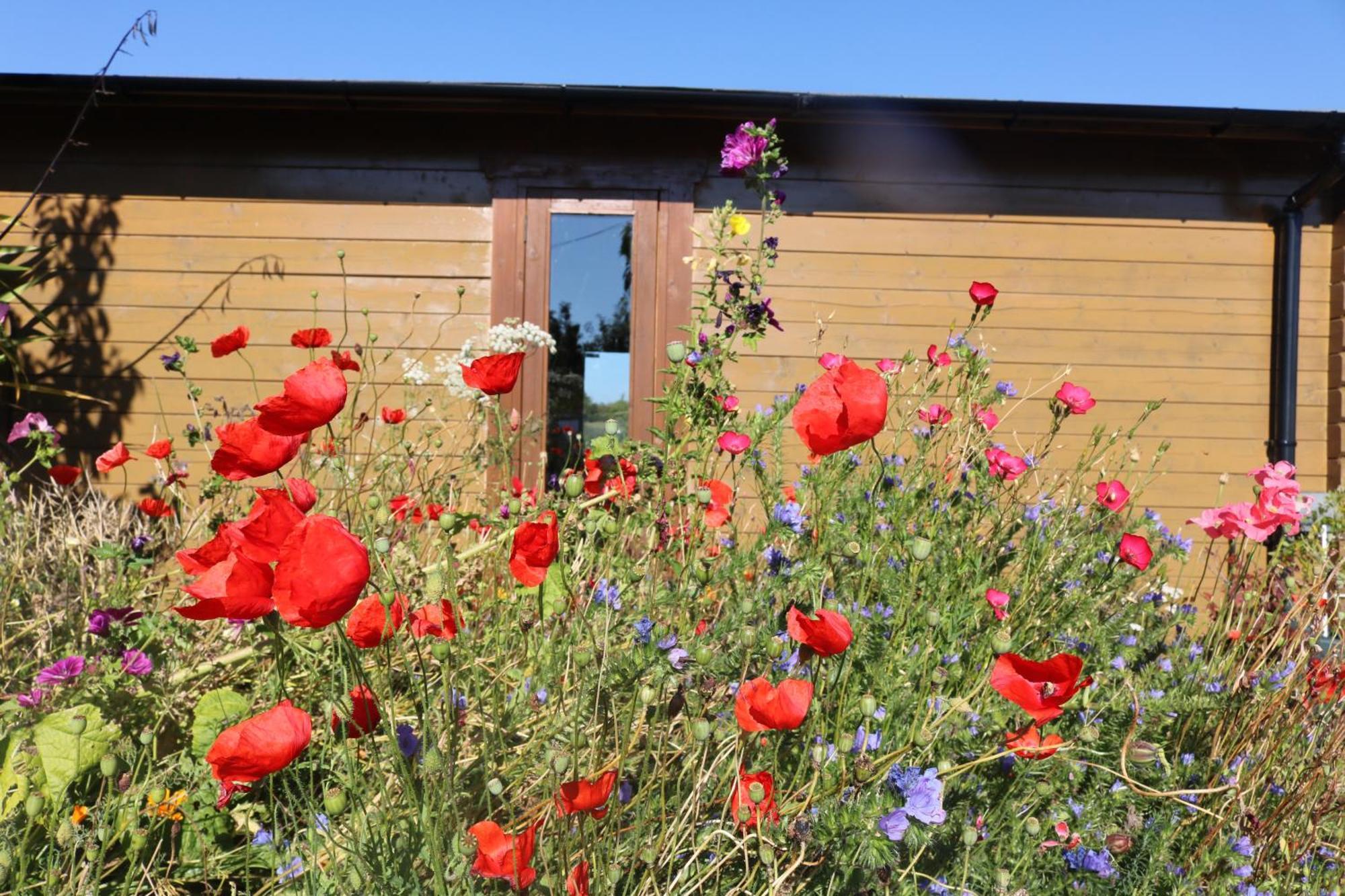 The Cabin Pipershill Newtownbutler Екстериор снимка