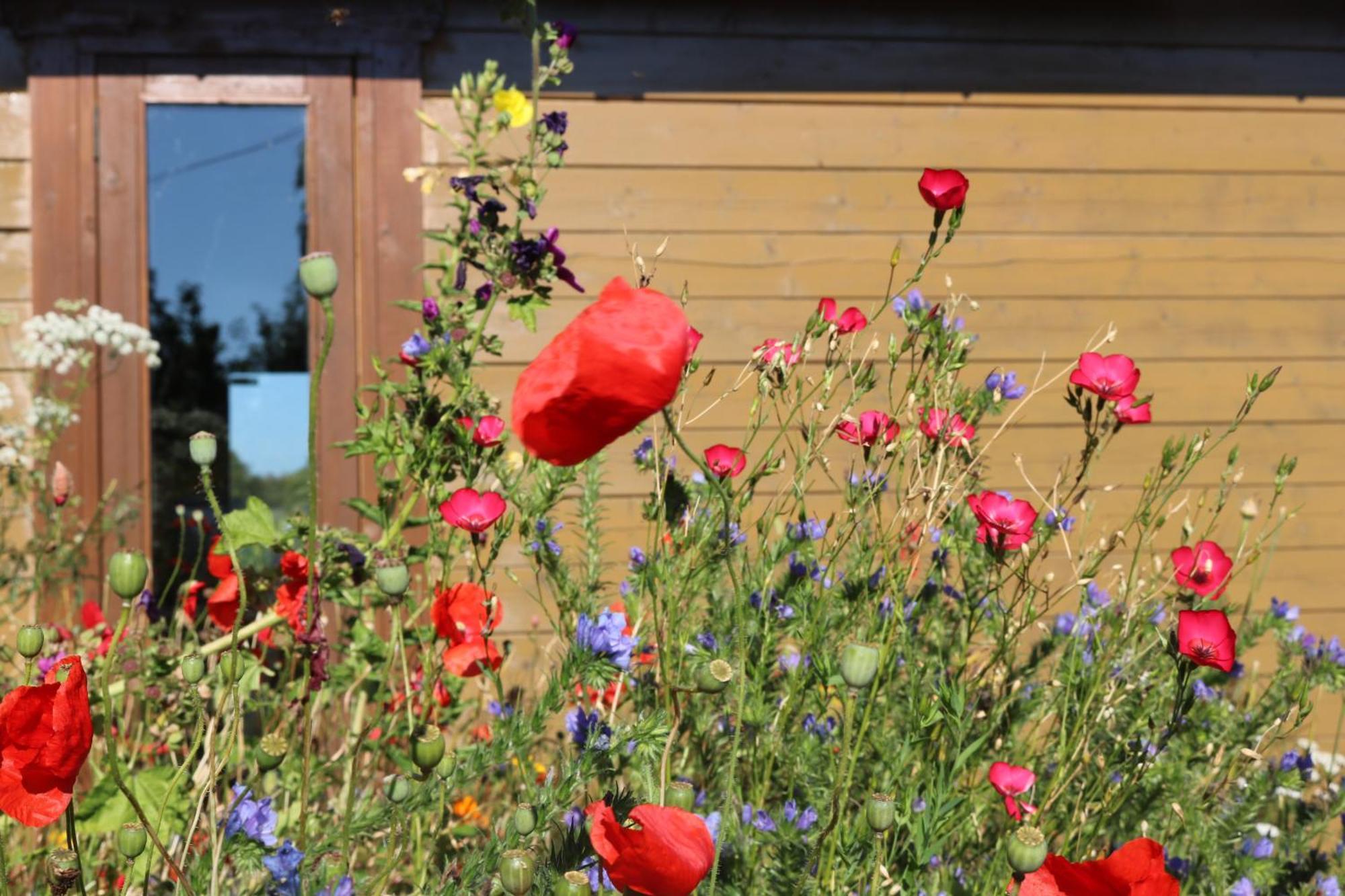 The Cabin Pipershill Newtownbutler Екстериор снимка